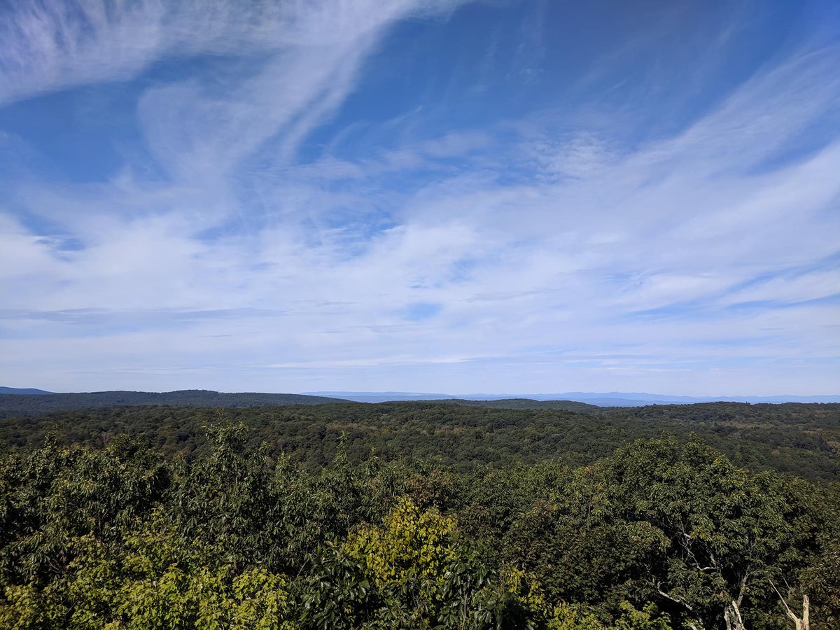 NBwindowandDoor's tweet photo. How's this for a view from your living room? Working with an architect today trying to make a client's dream become a reality. https://t.co/LyYIcNVIMb