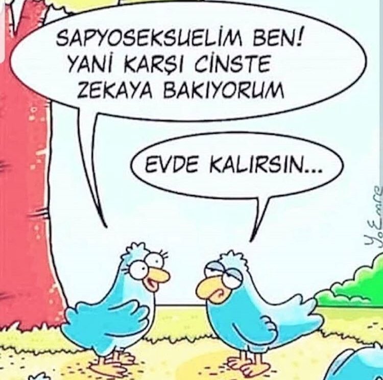 esuyucel1's tweet photo. Evet https://t.co/JFuEHt3jVk