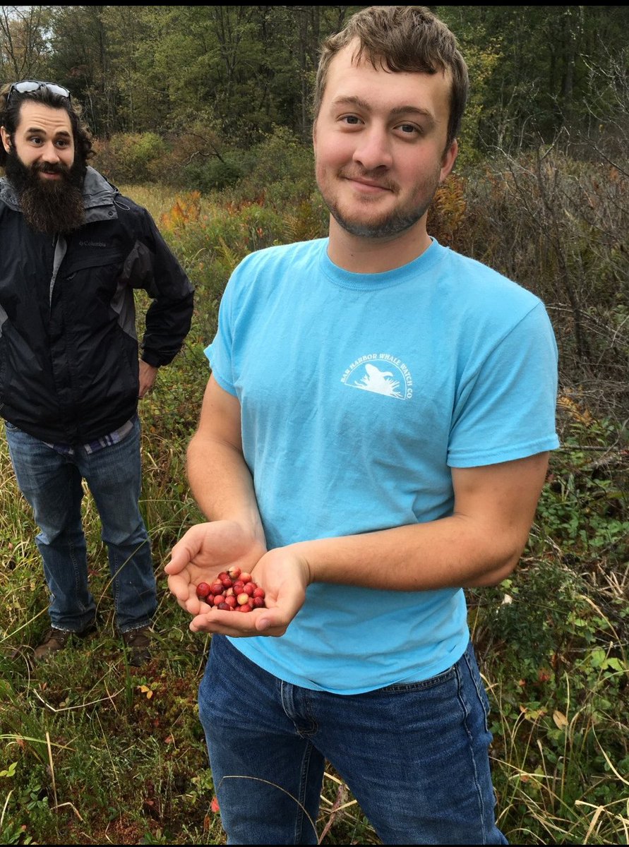 Green Sciences/Forestry students were exploring a bog in Garrett County, MD today and picked some cranberries along the way for a mid-class snack.  

#alleganycollegeofmaryland #ExperienceACM #science #greensciences #forestry #thisiswhataforestryclassroomlookslike