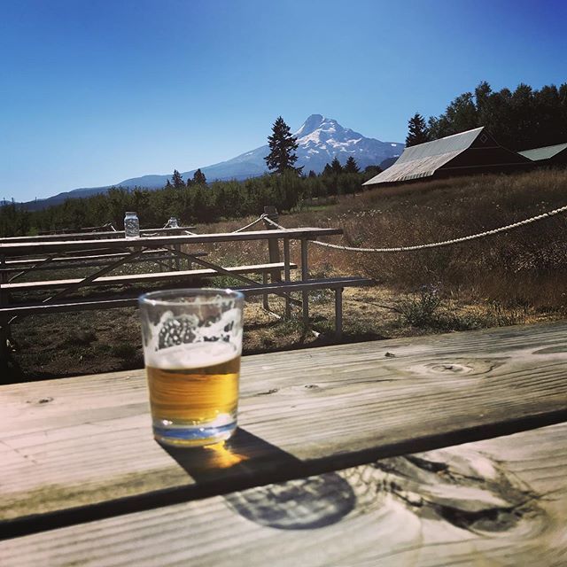NateMoretz's tweet photo. Mt Hood https://t.co/zpTZBkcFGO https://t.co/uM1VxhsyG7
