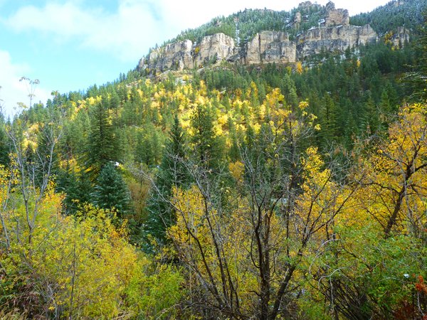 spfcanyon's tweet photo. Canyon colors made it to 90% before the snow❄️ fall last night. Enjoy the last bit of color🍁🍂 before winter hits.

https://t.co/Ngy82mTGGl

#fall #southdakota #spearfish #spearfishcanyon #spearfishsd #snowfall #snowmobile #spearfishcanyonlodge #blackhillsnationalforest #color https://t.co/4LFeMtVwfL