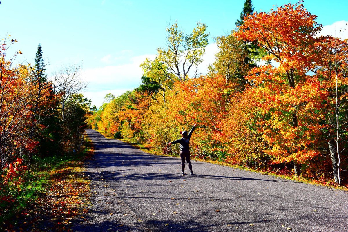 MitnExpedition's tweet photo. Fall color tour 2018: if you could visit any spot for bright leaves, where would ya go!? https://t.co/mbv7BdZ6U2