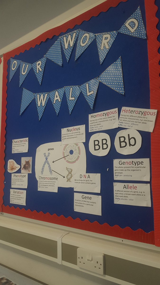 JenniferAE1191's tweet photo. @tbap_octavia love the literacy boards that have been revamped for the new term! It's been a busy few days but here's our eye catching, Lexonik displays - mine remains on my table, yet to be put up.... i got far too carried away making and laminating 100 tier 2 vocab posters! https://t.co/cpfaDXJZUe