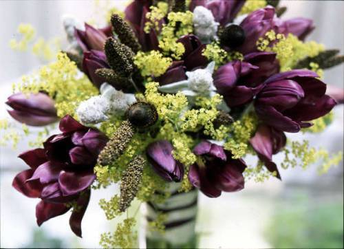 #FlowerOfTheWeek: Rudbeckia pod. #FlowerFriday