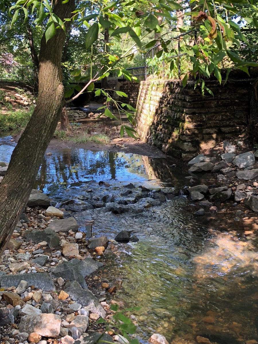 Stream study at Woodlawn Park. @APSscience <a href="/NOAAeducation/">NOAA Education</a>