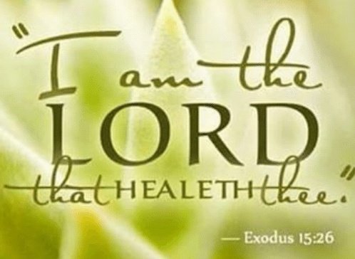 doucefeline's tweet image. He said,
“If u LISTEN CAREFULLY to the Lord your God and DO what is right in his eyes,
if u PAY ATTENTION to his commands and keep all his decrees,
I will not bring on you any of the diseases I brought on the Egyptians, ✔️FOR I AM the Lord, who HEALS YOU.”

🌸🌾Exodus 15:26🌾🌸