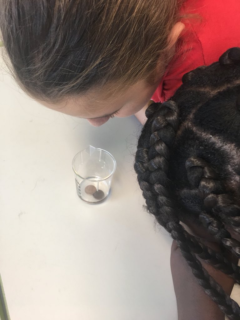 MrsQuadagnoTCS's tweet image. Experimenting with solutions and chemical changes! Vinegar + salt + dirty pennies = clean pennies! Ss observing a quick chemical change. #5thLearning #5thScience #TCSscience