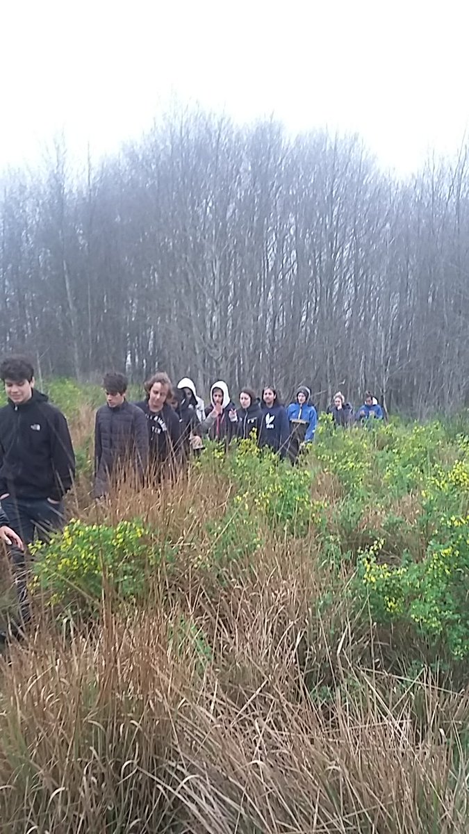 ivipromero's tweet photo. Canopy
Trekking
LONG HOT SHOWER (where did our clean clothes go??)
Merienda
#CerroDeLaVirgen #Tandil
#AELincoln #aelslearning https://t.co/Dak0rv2FGn