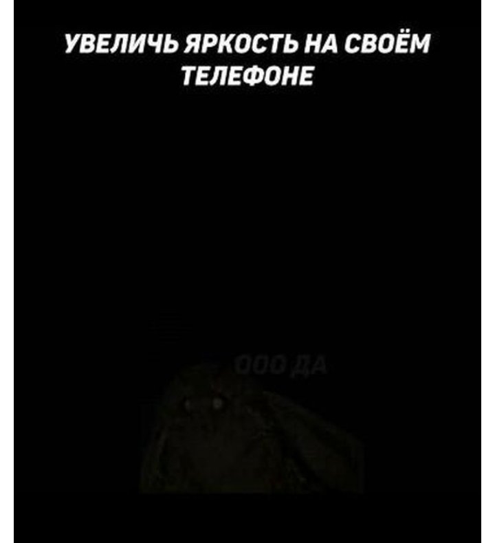 Заорал как последняя мразь