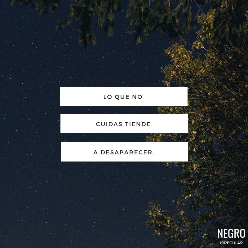 NegroIrregular's tweet photo. Lo que no cuidas tiende a desaparecer. #NegroIrregular https://t.co/hjYTZFQUyV