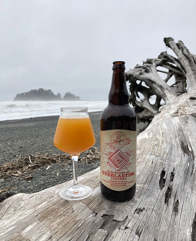 CraftBeerDudes's tweet photo. Today's Craft Beer Review!

Staircase Of Everlasting Peaches
American Wild Ale
Council Brewing Co.
San Diego, CA
6%ABV

Appearance - Pours with a thick and hazy tangerine color. Head is foamy but short lived leaving little to no lacing.

Aroma - Strong presence of the everla… https://t.co/VApJr2hhiJ