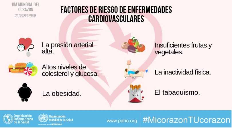 opsoms's tweet photo. ¡Hoy es el Día Mundial del Corazón! ❤️💛💙💚🧡 

Dale energía, ejercítalo y dale mucho amor. ❤️ 

+ información  sobre la prevención secundaria de enfermedades cardiovasculares: https://t.co/gFfpH0nCM3 

#MiCorazónTuCorazón #DíaDelCorazón #SaludParaTodos https://t.co/cwIgjxueUO