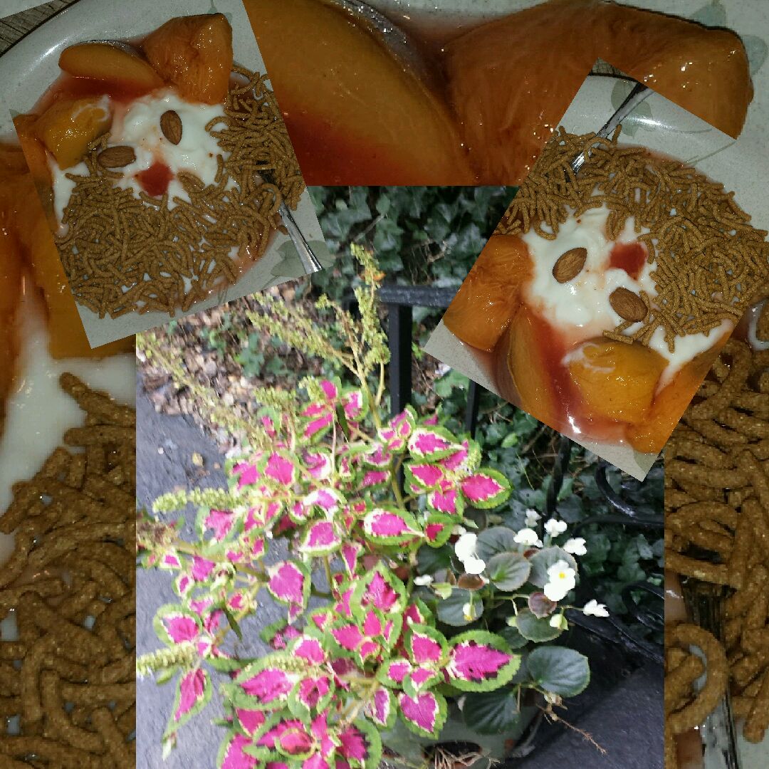art_artlee's tweet photo. #NJ "Have a grateful & creative Day" #art #arte #artmatters #breakfastmatters #gardeningmatters #coleus #artsandhealth #gratitud #gratitude #collageart #golf #highhandicapper #bogey #golfcoursemaintenance #par #bogey #doublebogey #triiplebogey #coleus https://t.co/IDxvHIcaL5