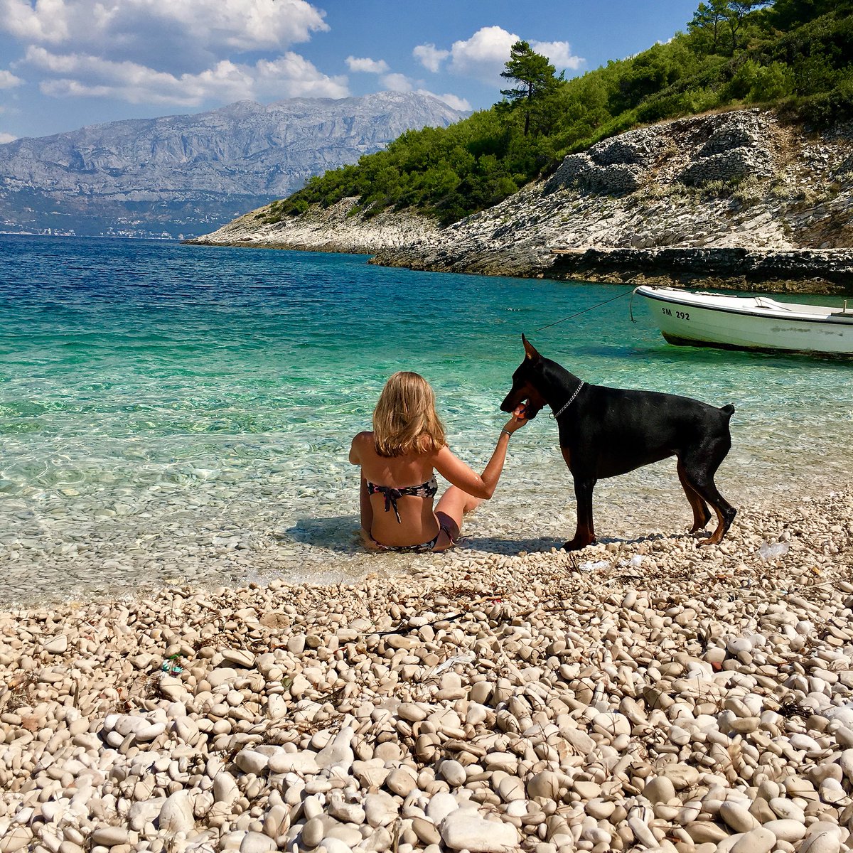 DobieAndMe's tweet photo. our happy place 🏝 what makes it #special is the unexplainable #potential of achieving #vacation #perfection 🌊🌊☀️♥️
#Croatia #sealife #FridayFeels #doberman #summer2018 #sunfun #fetchbythebeach #beastfriend #lovernotabiter https://t.co/1UmukcUdiS