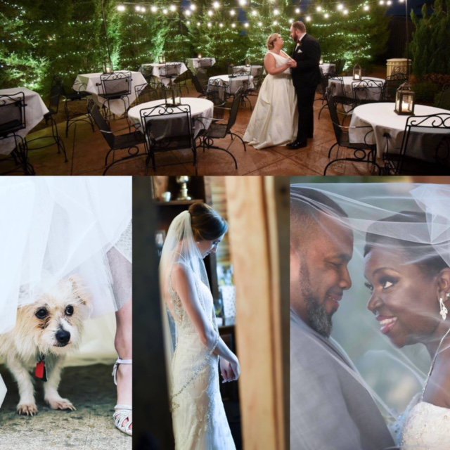 okBride.com tweet media