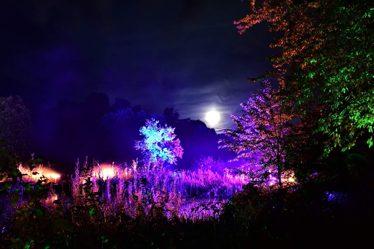 ElaineDowding1's tweet image. Vogrie Lights