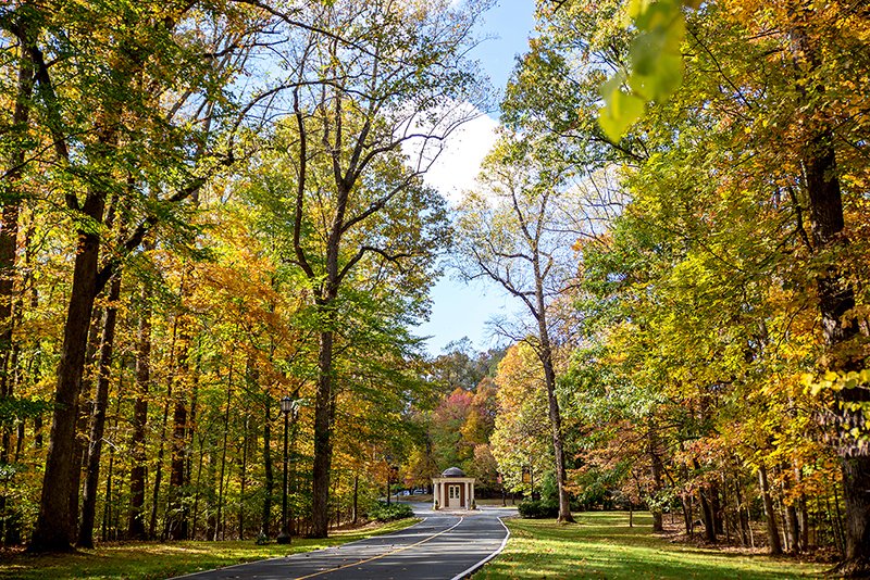 Sweet Briar College tweet media