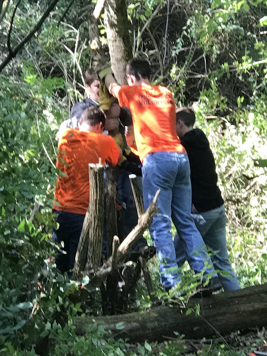 StRoseHouse's tweet photo. First All School Service day of 2018✅ spent their morning with @HouseStNicholas @steashouse cutting honeysuckle and piling up the branches and Mr Lombardi @FMCHS_PRINCIPAL even got in on the fun! #ServingTheCultureOfLife #StRoseRocks #WeAreGriffins https://t.co/5yFEsUoO9R
