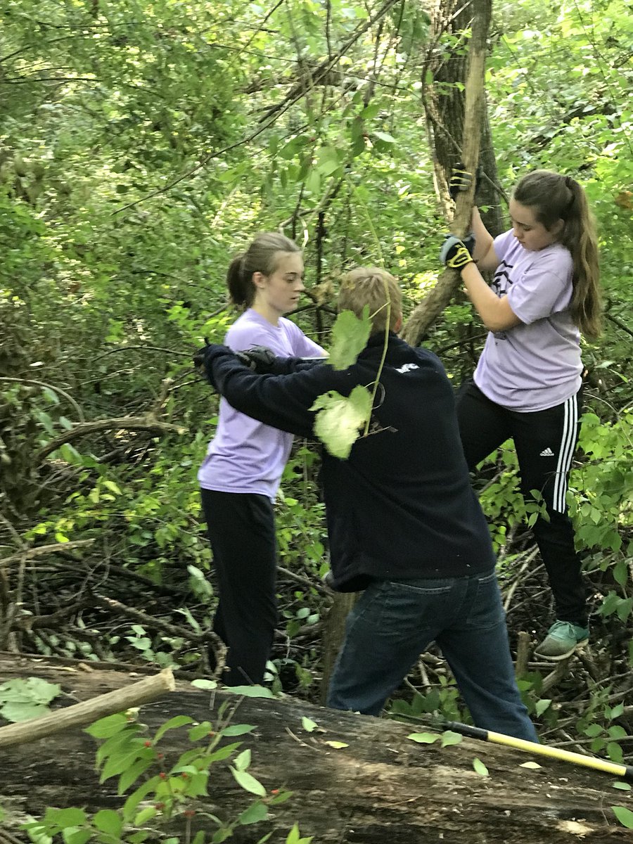StRoseHouse's tweet photo. First All School Service day of 2018✅ spent their morning with @HouseStNicholas @steashouse cutting honeysuckle and piling up the branches and Mr Lombardi @FMCHS_PRINCIPAL even got in on the fun! #ServingTheCultureOfLife #StRoseRocks #WeAreGriffins https://t.co/5yFEsUoO9R