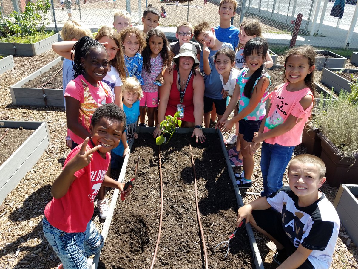 RustyTennant's tweet photo. 2nd grade did an amazing job measuring beds and planting their fall vegetables in our school garden. @bearidgeback @CitrusSchools @CRE_Ridgebacks https://t.co/MY5CjSCpMT