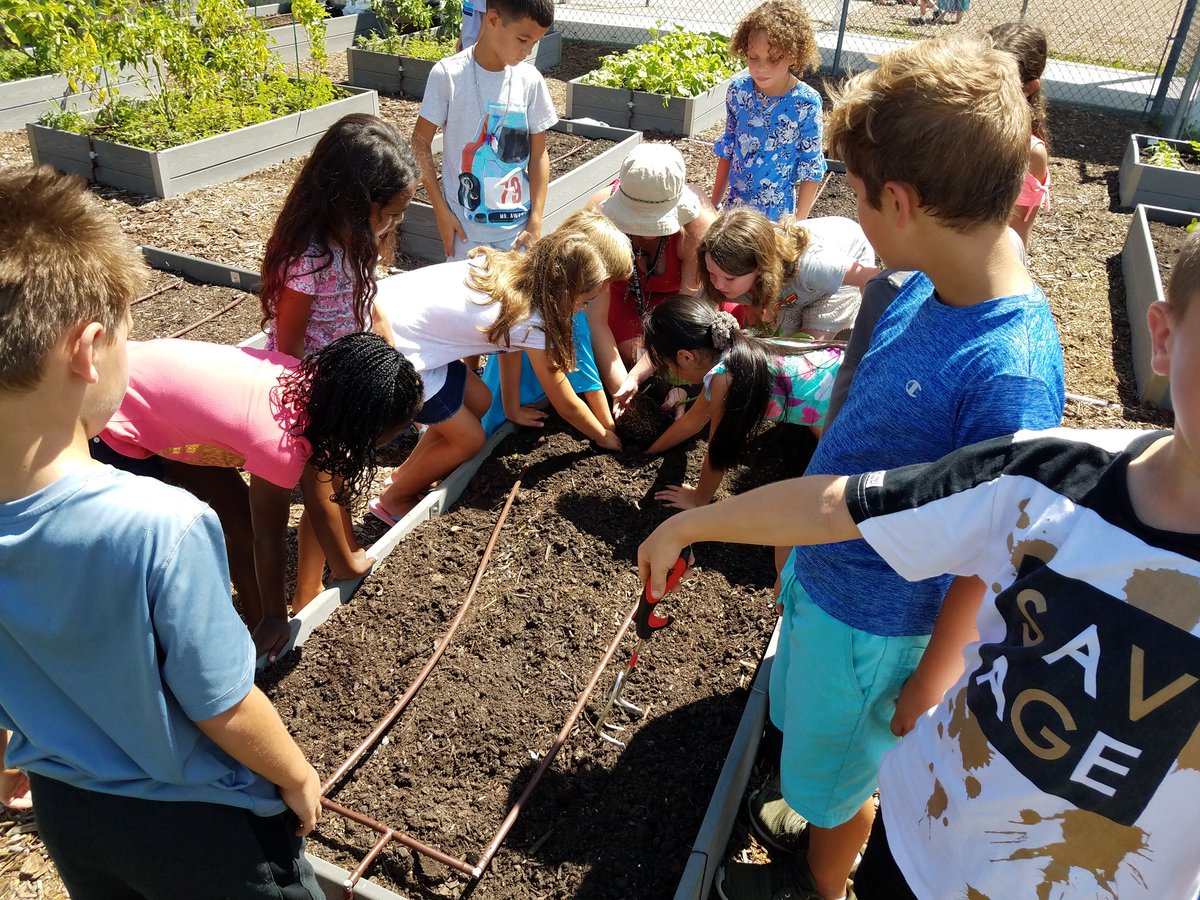 RustyTennant's tweet photo. 2nd grade did an amazing job measuring beds and planting their fall vegetables in our school garden. @bearidgeback @CitrusSchools @CRE_Ridgebacks https://t.co/MY5CjSCpMT