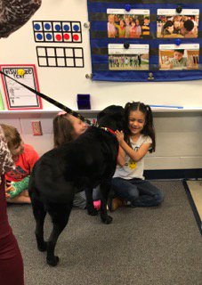 obrien1st's tweet photo. Meeting Trevor the therapy dog 🐶
#happykids #happydog #happyteacher
#SchwenksvilleES https://t.co/eMIifF7WRo