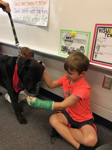 obrien1st's tweet photo. Meeting Trevor the therapy dog 🐶
#happykids #happydog #happyteacher
#SchwenksvilleES https://t.co/eMIifF7WRo