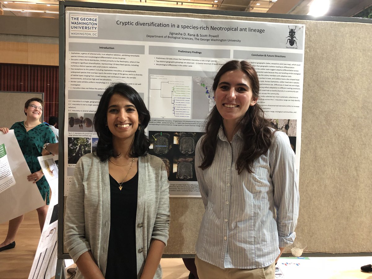 gwbiology's tweet photo. Congratulations to our Harlan Poster Presentation winners undergraduate Daphne Koubourli and grad student Jignasha Rana! Their research was made possible by the Wilbur V. Harlan Summer Research Program. #GWBiology #harlansummerprogram #harlangreenhouse #GW @GWtweets https://t.co/PlPwAOc9TN
