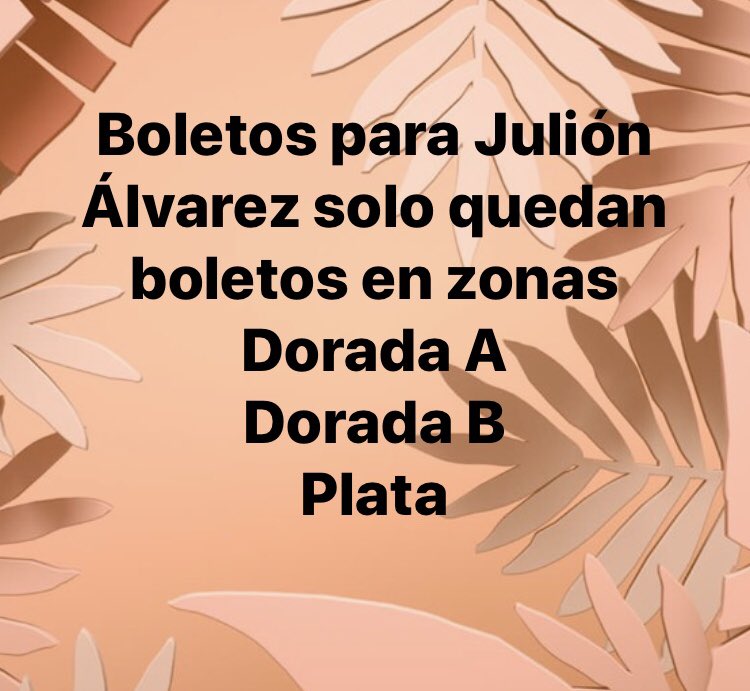 2018Mexicali's tweet photo. Localidades para @julionalvarez en #FiestasDelSol #Mexicali #Paleque https://t.co/LgtjMTvqi6