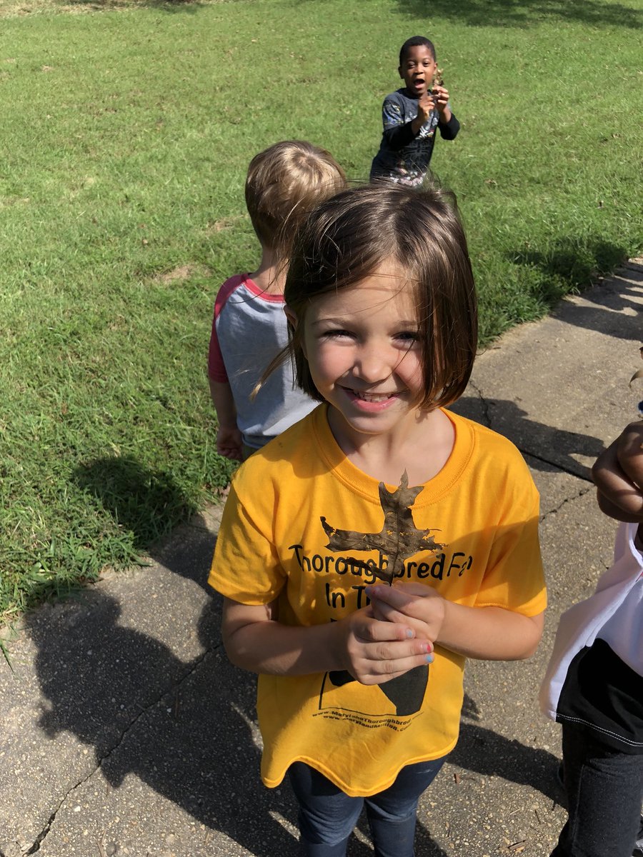 Neufeldsclass's tweet photo. We enjoyed finding fallen leaves on our Fall Walk! https://t.co/KRI33xnrh2