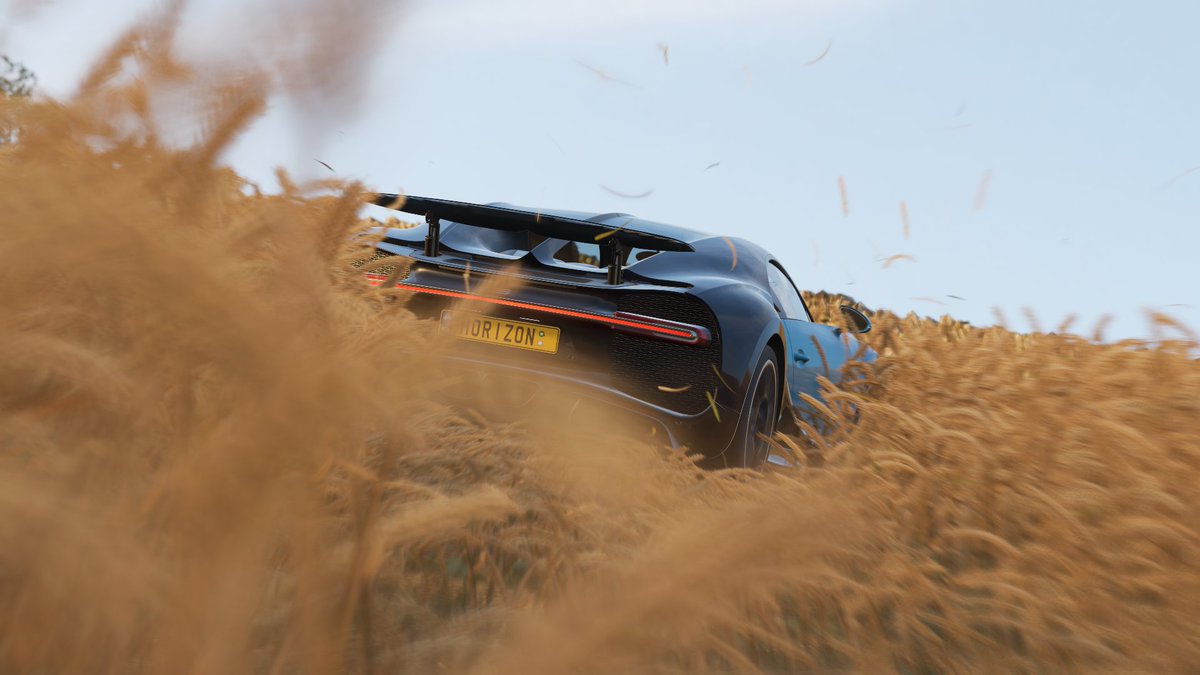 Fistexe's tweet photo. будет. очень. много. форзы #ForzaHorizon4 #XboxShare https://t.co/lovAo3VP4b
