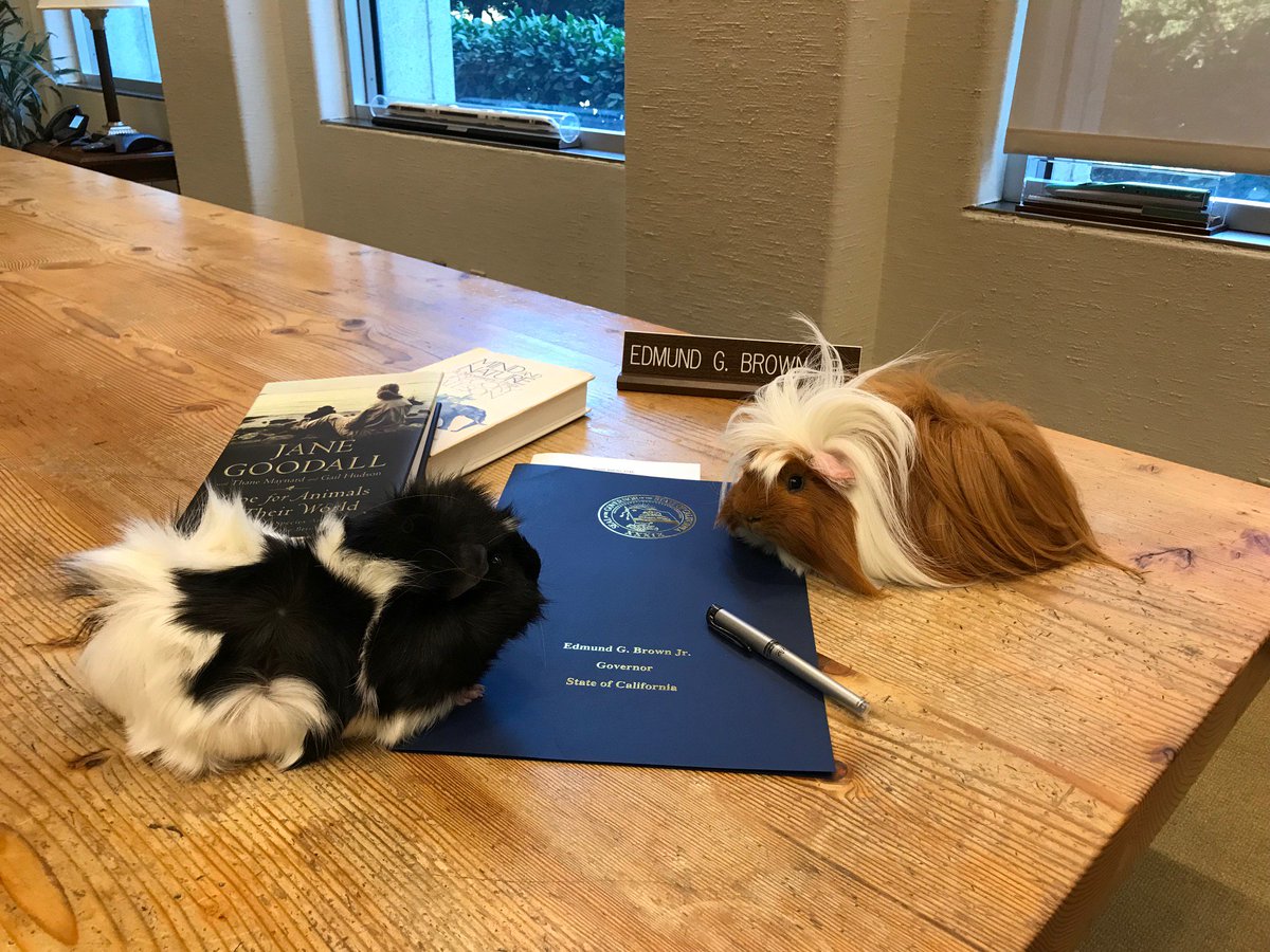 Colusa Brown tweet media