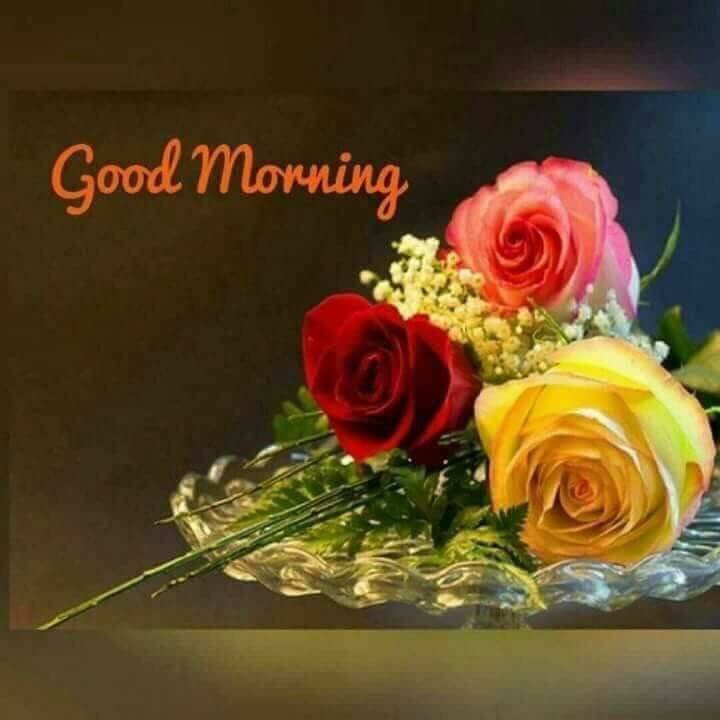 Buona giornata a tutti ed felice sabato da PietroFalco