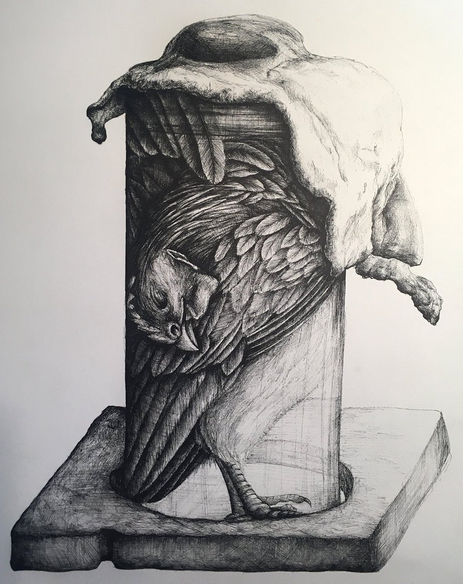 pausha's tweet photo. CHICKEN ON TOAST
pen and ink on watercolor paper
11x14 https://t.co/DCGg2xDRJy