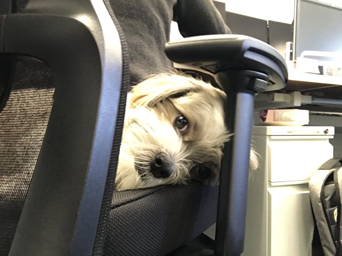 This guy. This is how I feels at work. #opd