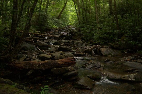 ForYour_Beauty's tweet photo. Most Popular National Parks of US https://t.co/9RtdI5TPRw https://t.co/iPU9E0aoTm