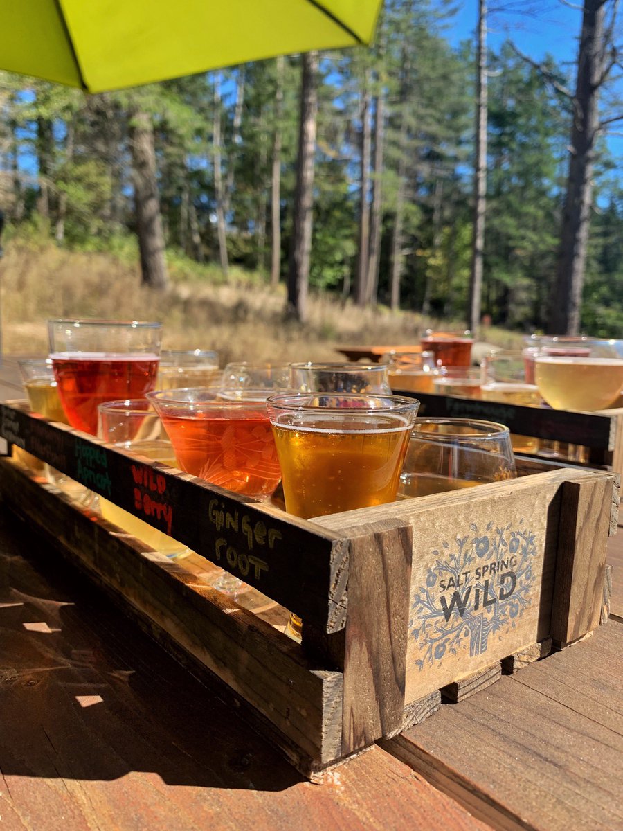 MegCuthbert's tweet photo. Day 1 of the #CiderCycleCircle Route was a smashing success. Starting at @valleyciderco and learned all about apples &amp; cider making. Then booted over to Salt Spring &amp; had an incredible flight with @saltspringwild We ended the day with a ferry to Pender! 2 days &amp; 4 cideries to go! https://t.co/kEBH2QyFa3