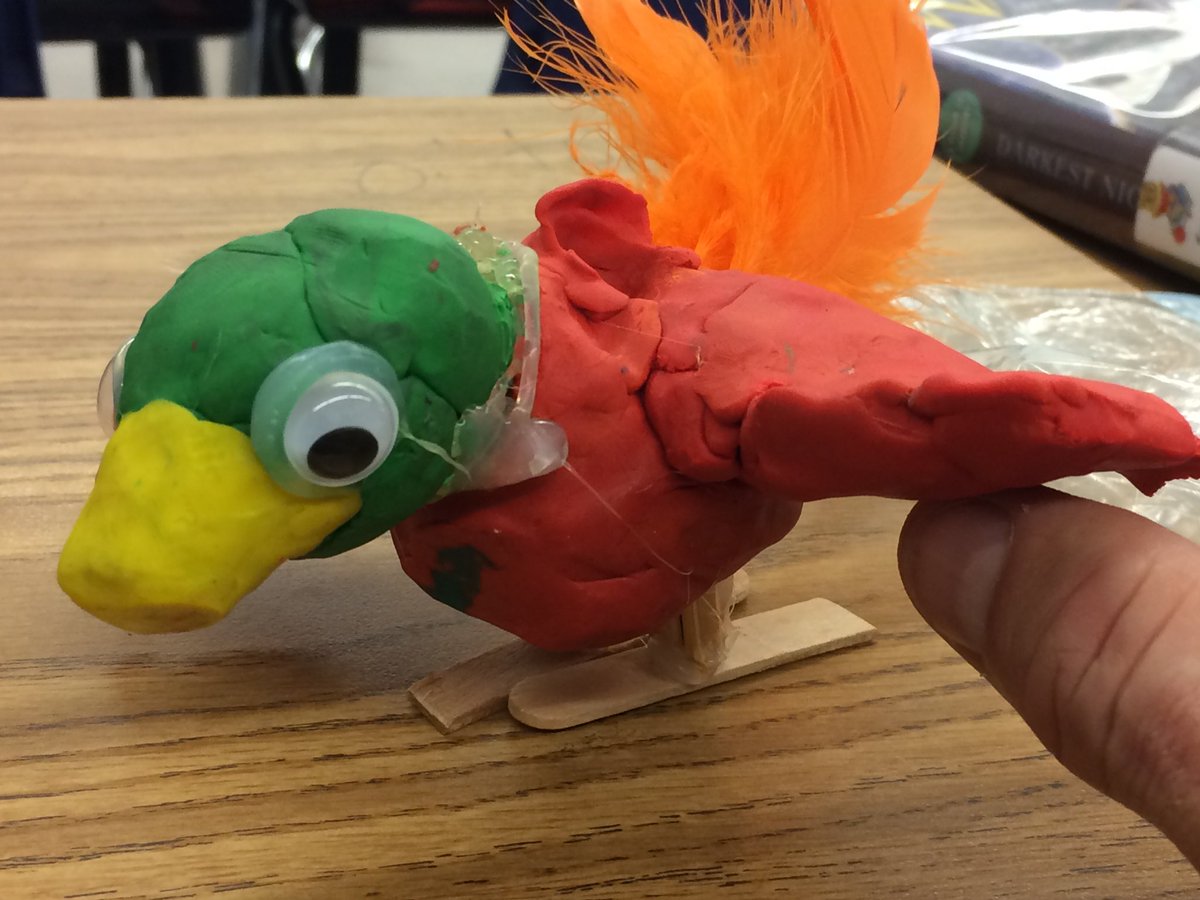 ShauneBeatty's tweet image. I wish I was in Grade 6 again. Studying flight and creating models of birds- inside and outside! Working to understand why they can achieve what we cannot. #HandsOnLearning #LearningAtItsBest @PrideInThePaw @simonsen_ms