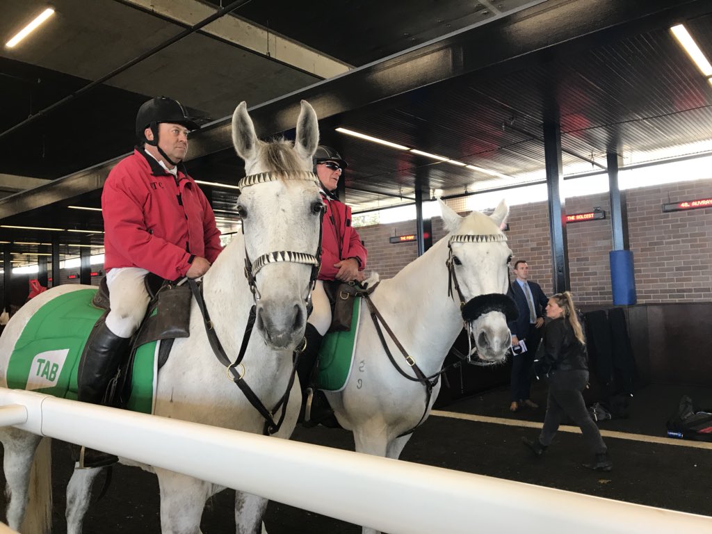 sanahuen's tweet photo. 2018 TAB EPSOM DAY！
I am so glad that I can join the carnvial~ enjoy~~ https://t.co/qdM3lw3Zp8