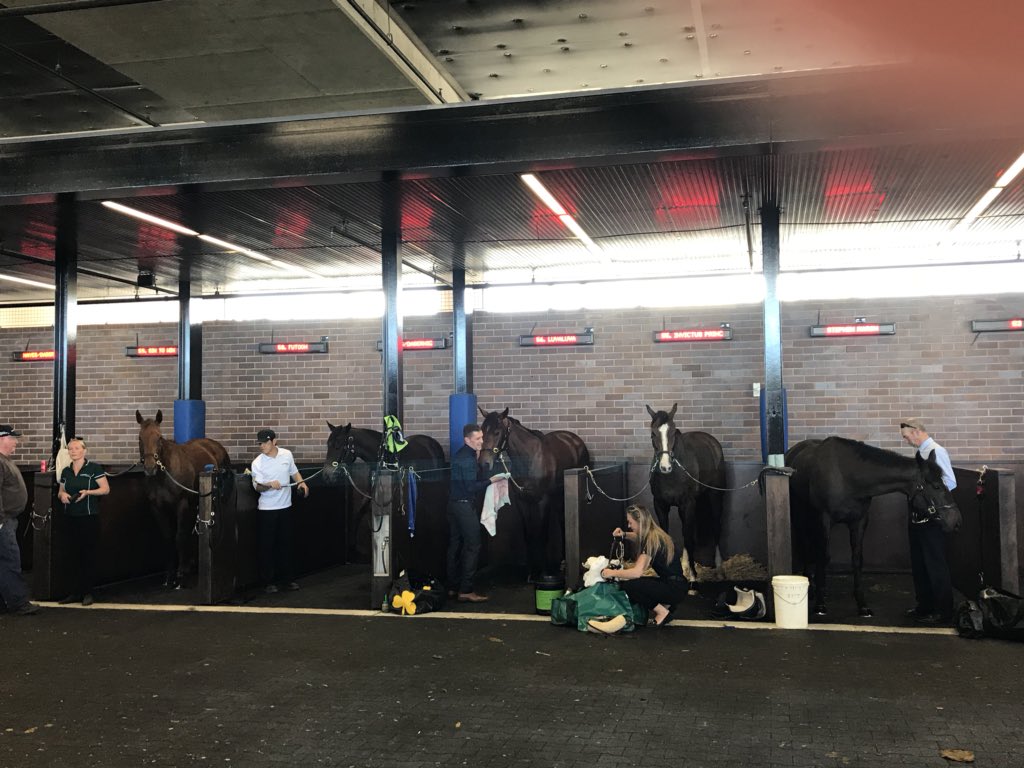 sanahuen's tweet photo. 2018 TAB EPSOM DAY！
I am so glad that I can join the carnvial~ enjoy~~ https://t.co/qdM3lw3Zp8
