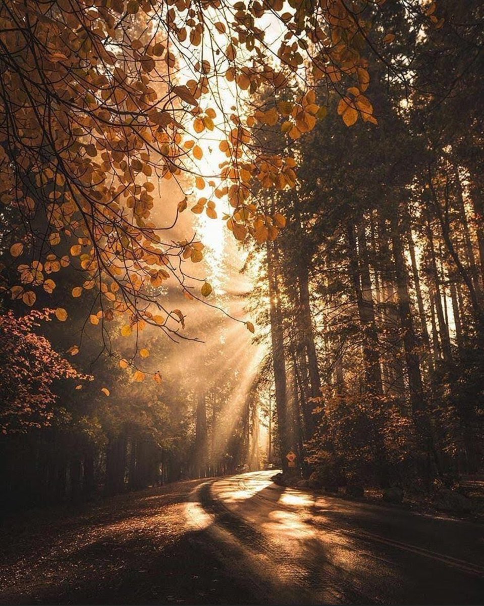 BluesignV's tweet image. Good morning, it will be a great day 🙋🏻‍♂️🌷💙