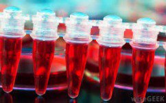 #ToxicologyandForensicscience is going to be held on January 28-29 in Osaka,Japan 2019,Be a part of this conference.
THEME-Extension of Toxicology Research in Criminal Affairs
For abstract submission -toxicology.toxicologyconferences.com/abstract-submi…