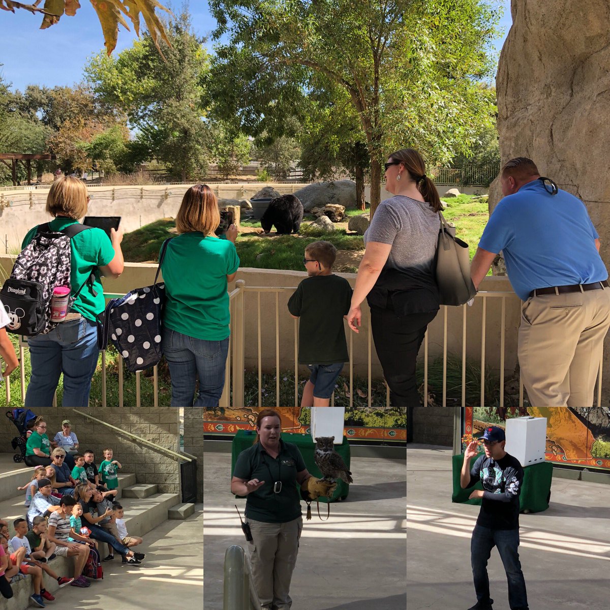 MrsSegovia204's tweet photo. When we go on field trips we take as many of our Buckley School family members as we can! Buckley’s first grade crew finishing up our unit on desert plant and animal adaptations at the CALM Museum and Zoo. #WeAreFamily  #BuckleyBengals #burtonstory https://t.co/canMQnf2cF