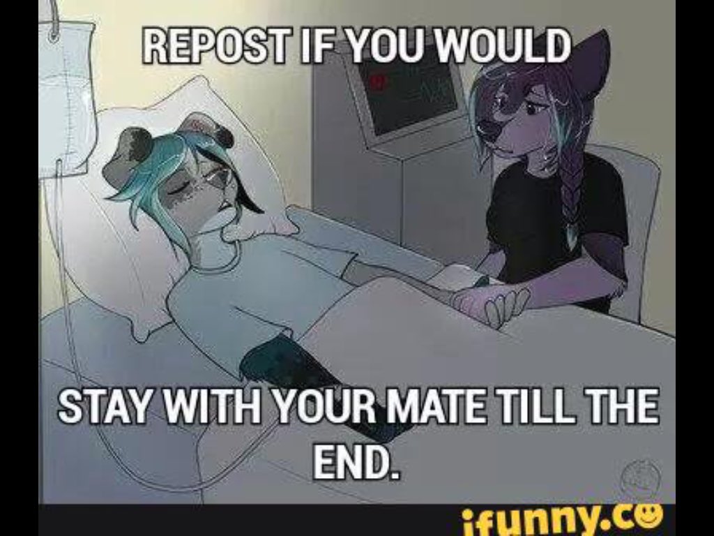 GreatNazarick's tweet image. 