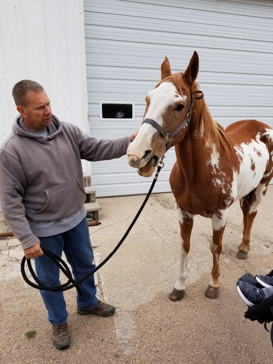 GINW SCLS tweet media