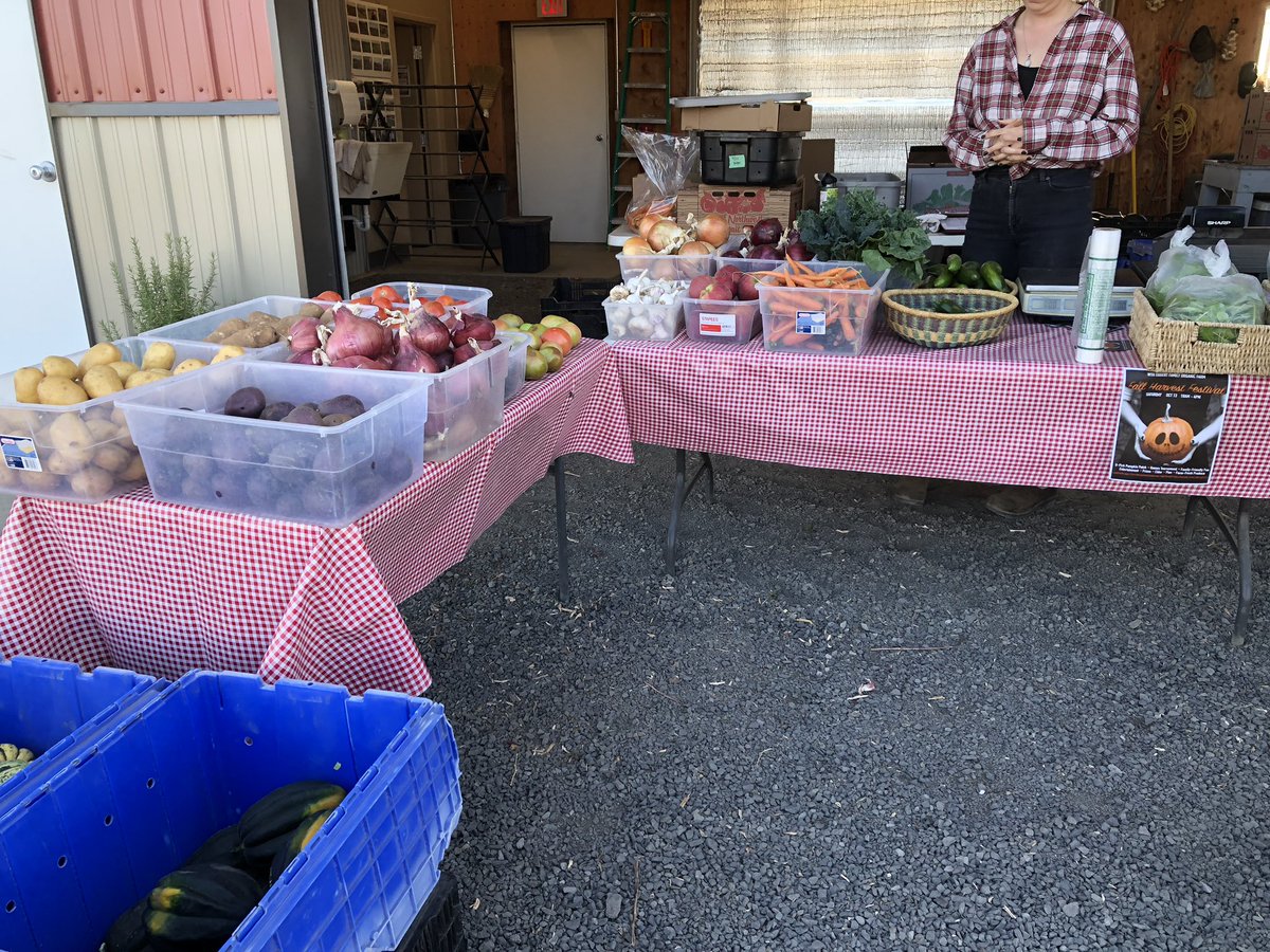 CataAmortegui's tweet image. You’re absolutely right!! Now I’ve reached the perfect trifecta!!! Ferdinands @WSUCreamery’s Cracked pepper and chives cheese, @wsucahnrs Premium Wagyu ground beef and @WSUOrganics’s onions and lettuce!! Coug^3!! #didthemath #GoCougs!! 😸