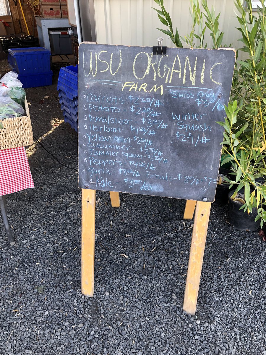 CataAmortegui's tweet image. You’re absolutely right!! Now I’ve reached the perfect trifecta!!! Ferdinands @WSUCreamery’s Cracked pepper and chives cheese, @wsucahnrs Premium Wagyu ground beef and @WSUOrganics’s onions and lettuce!! Coug^3!! #didthemath #GoCougs!! 😸