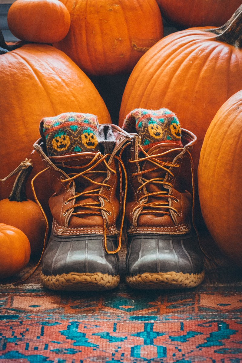 KJP's tweet image. RT if you want Sock-O-Lantern Fall sweater socks!  Only 50 pairs made.  Giving away 2 tonight 🎃🎃🎃  Available on KJP.com