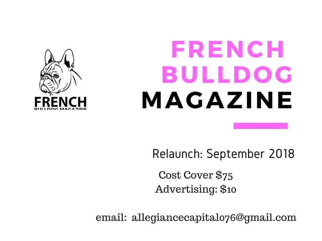 collectibulldog's tweet photo. Don’t forget #BullishMag and it’s counterparts had a brilliant #relaunch today for #Bulldogs #FrenchBulldogs and their #MultiBreed magazine https://t.co/KPiiq70Ui3