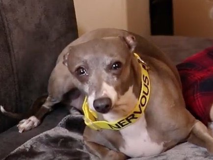 daniel (@estrcnged) on Twitter photo 